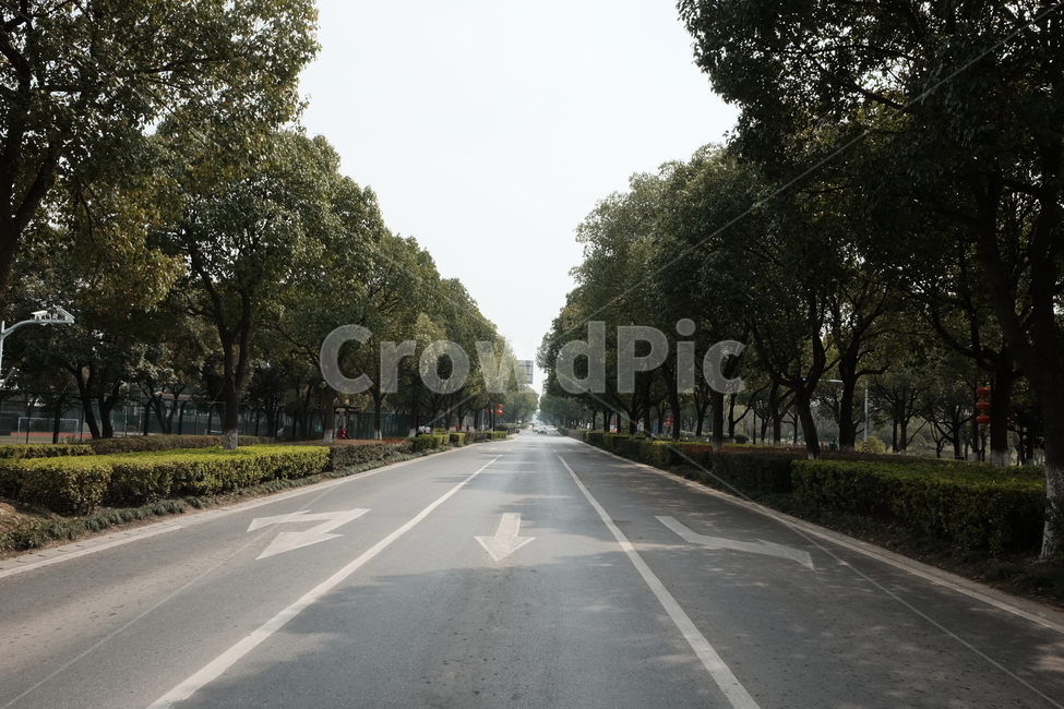 길,도로,차도,가로수,직진,쭉뻗은길,화살표,자연,풍경,nature,landscape,road,freeway,고속 도로,asphalt,아스팔트,highway,고속도로