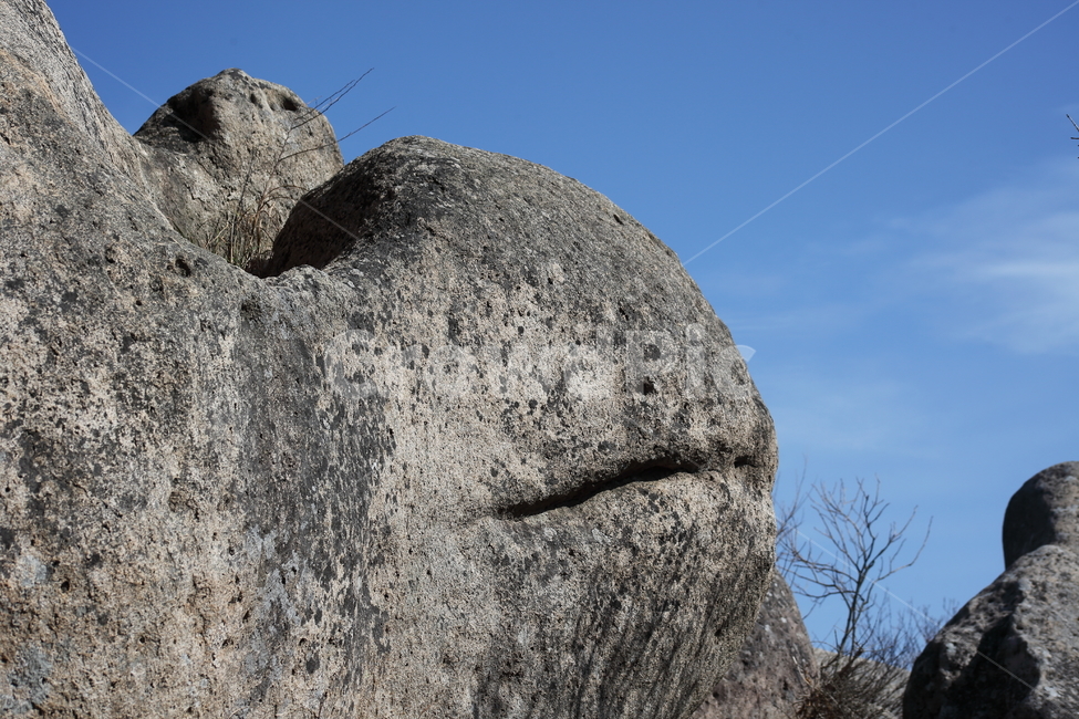 금산,바위,rock,한려해상국립공원,자연풍경,남해금산,자연,풍경,nature,landscape,록,outdoors,옥외