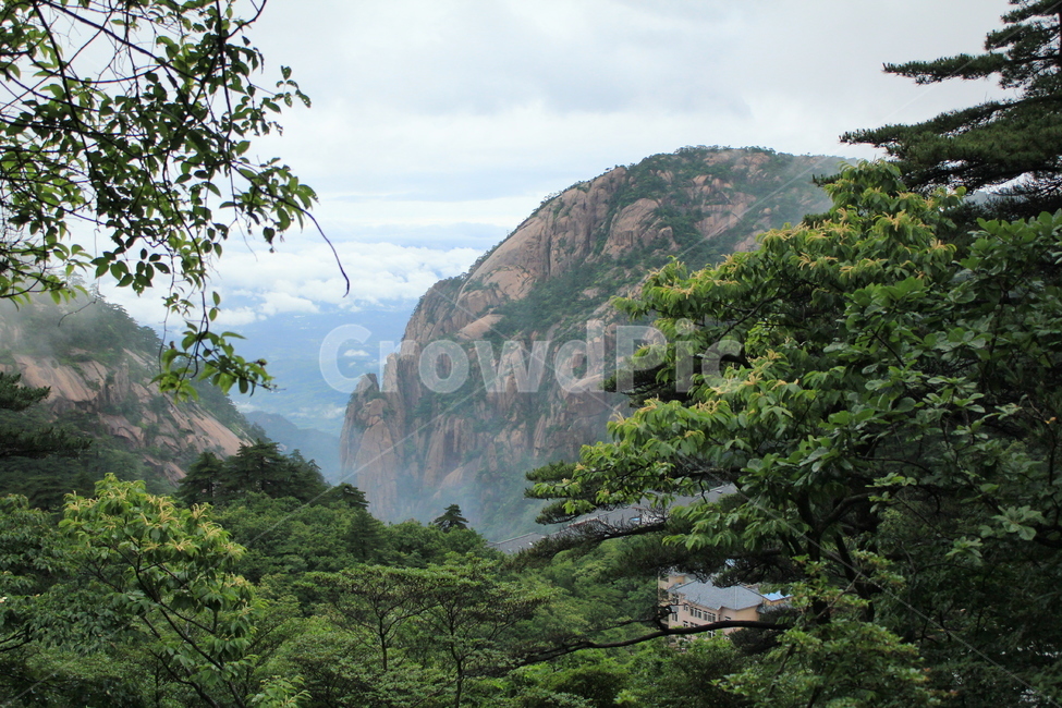 황산,중국황산,산,등산,절벽