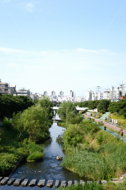 서울,불광천,개천,풍경,산책,도시,풍경,city,landscape,한국도시풍경,한국도시경관,korea cityscape,water,물