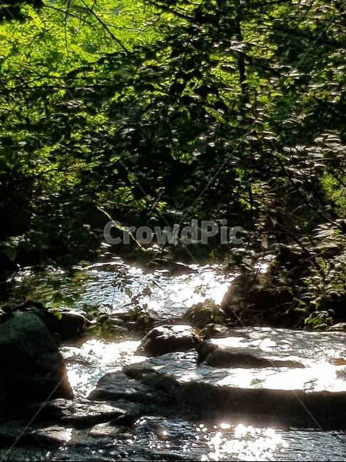 여름계곡,계곡,흐르는물,흐르는계곡,시원한,시원한계곡,여름,계절,summer,season,자연,풍경,nature,landscape,water,물,outdoors,옥외,stream,흐름,creek,작은 만