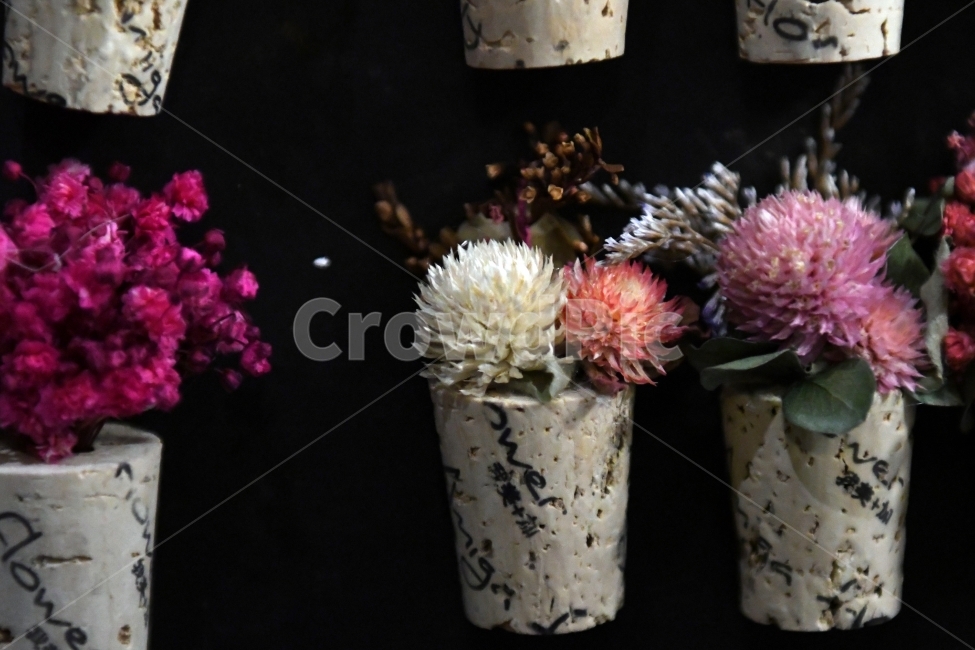 안개꽃,꽃,감성사진,감성,식물,자연,플라워,감정,색깔,색채,색감,칼라,flower,꽃다발,인테리어,소품,사물,기념일,축사,plants,배경화면,안개,nature,화분,꽃,flower