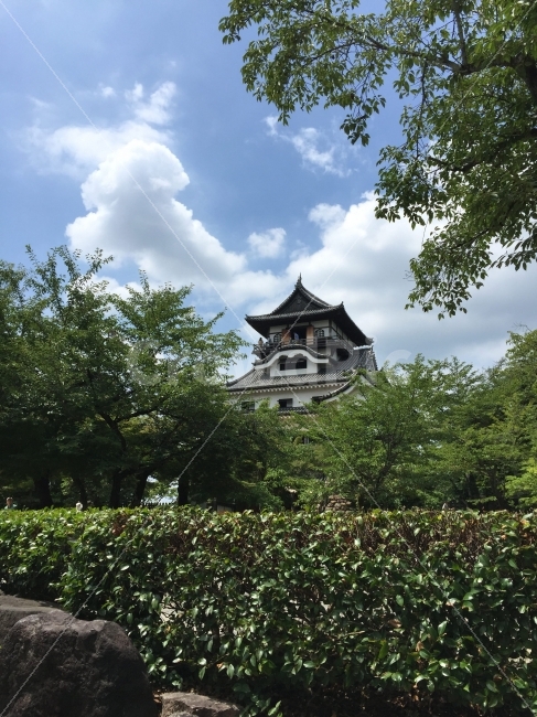 일본,japan,여름,summer,이누야마성,캐슬,castle,하늘,구름,나무,아시아,동양,풍경,문화,유적지,여행,해외여행,해외,외국,외국여행,일본여행,travel,경치,asia,문화재,유적,일본식가옥,건축,건물,일본성,일본의성,스냅,스냅사진,스넵,스넵사진,snap,snapshot,foreign,일본자연,일본풍경,landscape,cloud,해외,외국,세계,foreign,oversea,world,랜드마크,landmark,tourist attraction