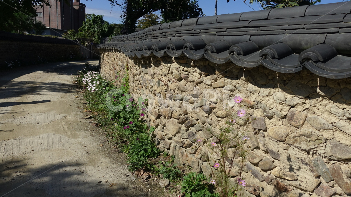 가을,삼지내마을,돌담,wall,골목,기와
