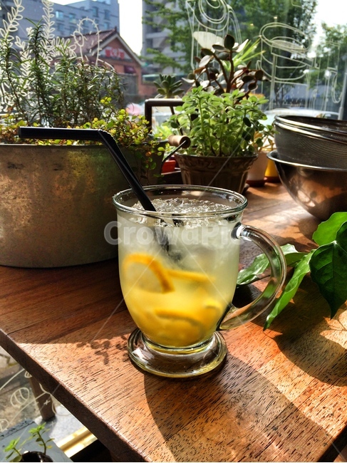 레몬티,레몬,얼음,아이스티,카페,음료수,drink,beverage