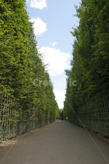 versaillespalace,정원,garden,베르사유궁전,프랑스