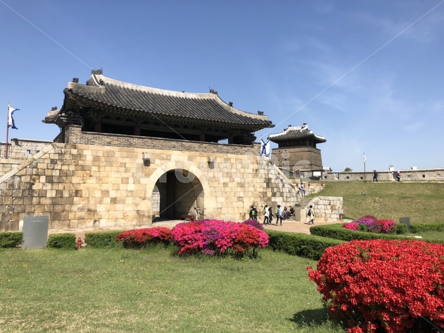 수원화성,화성,화서문,성곽,문화유산,문화재,세계문화유산,수원,수원시,꽃,잔디,성곽길,역사유적,유적지,관광지,조선,정조,문,역사