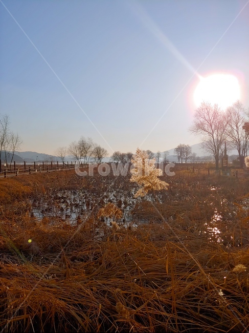 풍경,연못,가을,역광,하늘,연,자연,풍경,nature,landscape,flare,플레어,light,빛,sunlight,햇빛
