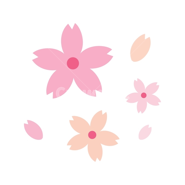 꽃,벚꽃,봄,식물,자연,분홍,일러스트,꽃잎,귀여운,illustrarion,vector,flower,plant,cherryblossom,spring,pink,cute,design,봄,계절,spring,season,그래픽,일러스트레이션,graphic,illustration