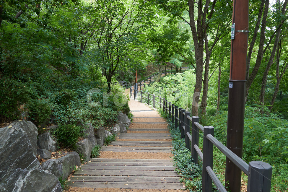 등산로,산책로,동산로,응봉근린공원,나무,초록,길,풍경,nature,한국자연풍경,koreanature,landscape,조경석,산책,자연풍경,분위기,공원