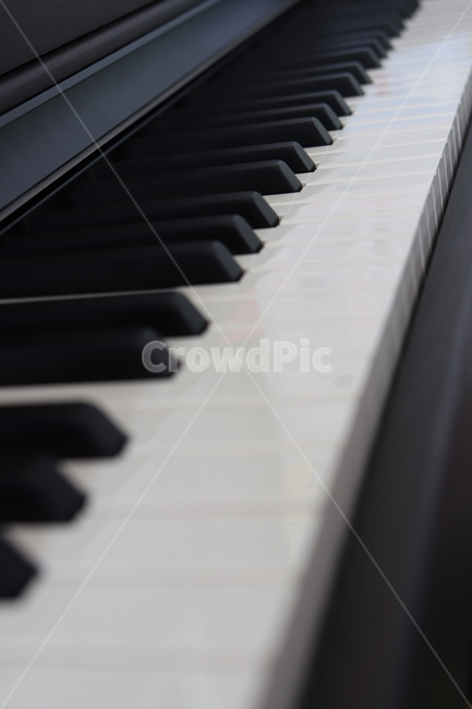 피아노,piano,건반,악기,leisureactivities,레저활동,musicalinstrument,grandpiano,그랜드피아노,흑백,연주,음악,music