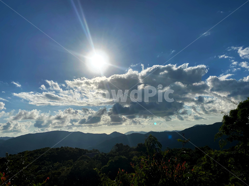 light,빛,flare,nature,자연,풍경,landscape