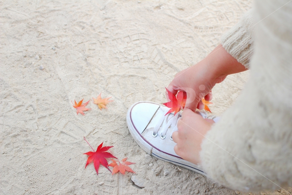 사람,풍경사진,단풍,가을,단풍잎,잎,신발,손,소녀,가을,계절,fall,autumn,season,식물,자연,plants,nature,사람,인물,인간,human,person,신체일부,몸,body,leaf,plant