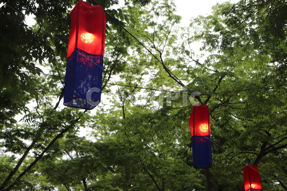 한국,민속촌,전통,조명,나무와조명,한국전통,한국문화,korean traditional,korean culture