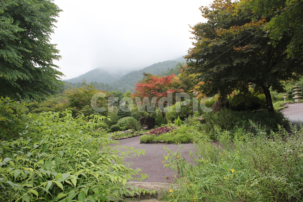자연,바다,경관,나무,산,자연,풍경,nature,landscape,tree,plant,식물,outdoors,옥외