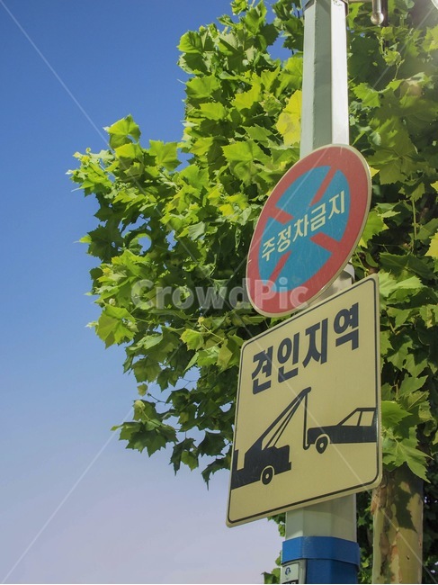 견인지역,견인,주정차금지,주차금지,정차금지,표지판,도로표지판,나무,파란하늘,제한