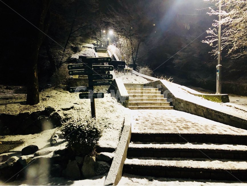 서울,남산,남산타워,남산공원,겨울,눈,계단,팔각정,겨울,계절,winter,season,자연,풍경,nature,landscape,야경,밤,nightscape,night,banister,난간,handrail
