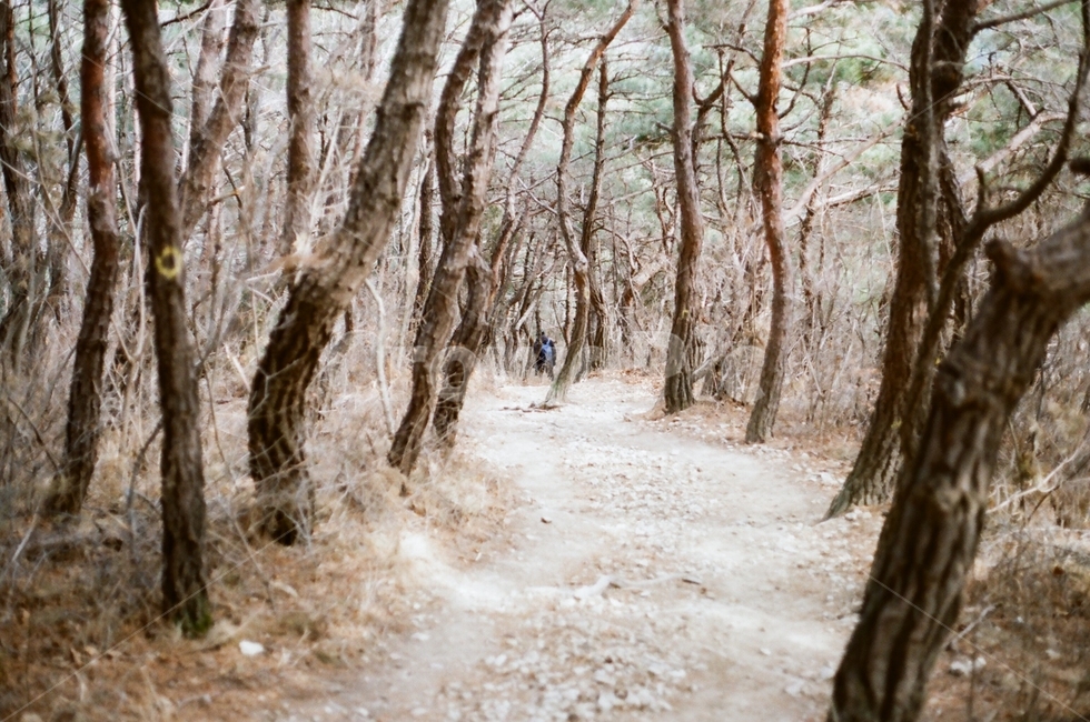 겨울,산,감성,필름,등산,오르막길,산행,고난,역경,쉼,휴식