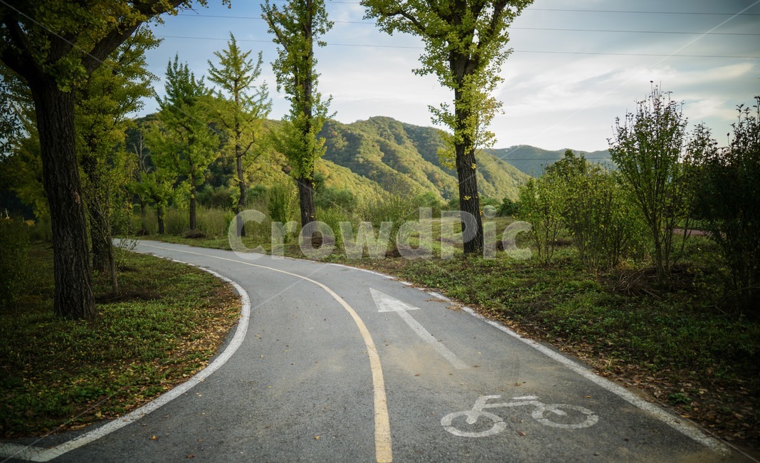 tarmac,타맥,asphalt,아스팔트,road,도로,가을,감성,가을,계절,fall,autumn,season