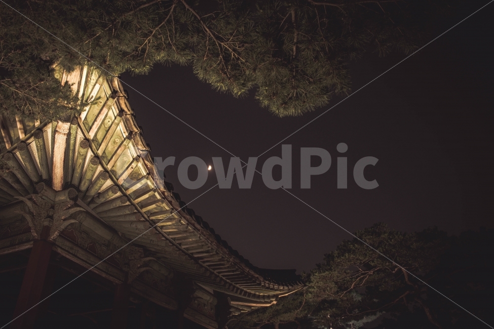 밤,night,야경,고궁,창경궁,한국,korea,서울,seoul,달,moon,풍경,landscape,처마,야경,밤,풍경,nightscape,night,landscape,한국전통,한국문화,korean traditional,korean culture,랜드마크,landmark,tourist attraction,한국랜드마크,한국관광지,한국명소,korea landmark,korea tourist attraction,감성,sensible,feeling,건축물,건물외관,exterior,building,structure,architecture,construction,outdoors,옥외,nature,자연