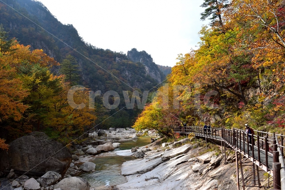 설악산,가을,단풍,풍경,백담사,구곡담계곡,수렴동계곡,계곡풍경,오색단풍,가을색,폭포풍경,가을비경,자연,스포츠,등산,산행,nature,느낌,아름다운,다큐,필,계절,디자인,힐링,명산,국립공원,순백,트레킹,단풍잎,오색,칼라풀,뷰티플,단풍터널,단풍숲,산객,등산객,그림같은,감성,절경,자연,풍경,nature,landscape,가을,계절,fall,autumn,season,water,물,outdoors,옥외,stream,흐름,creek,작은 만