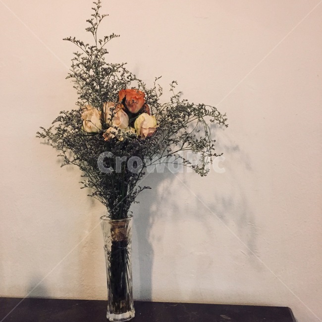 꽃,감성사진,꽃다발,드라이플라워,장미,flower,꽃,flower,실내용화초,화분,화초,house plant