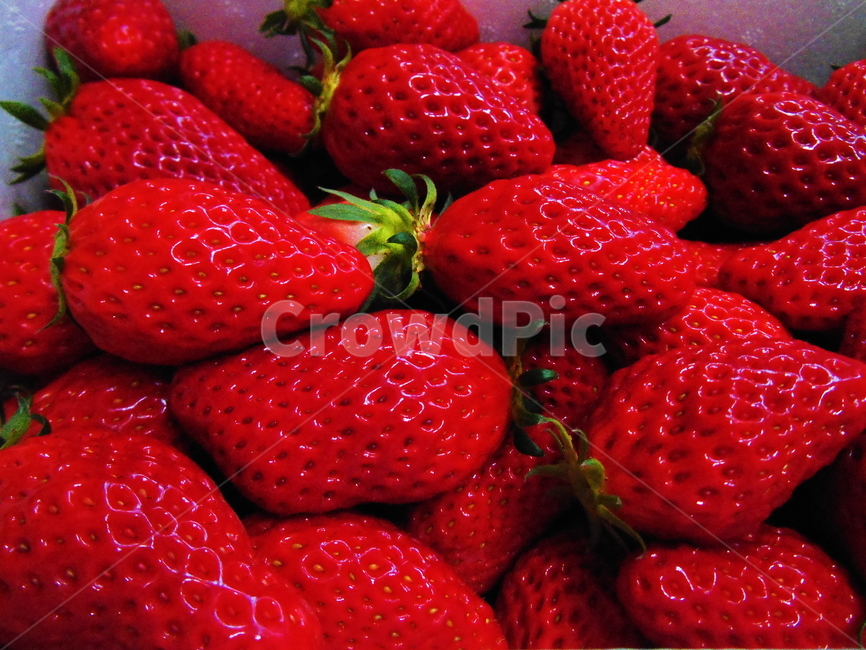 식품,과일,fruit,food,딸기,plant,식물,strawberry,신선함,빨강