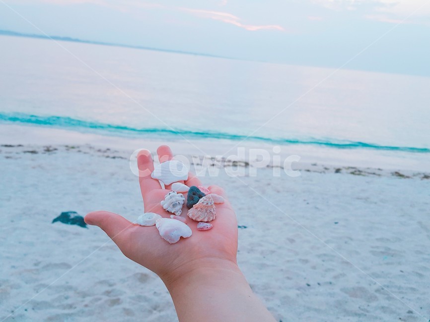 바다,조개,파도,소라,여름,아름다운,summer,sea,jeju,제주도,감성,손,hand,해변,자연,여행,소소한,물결,모래