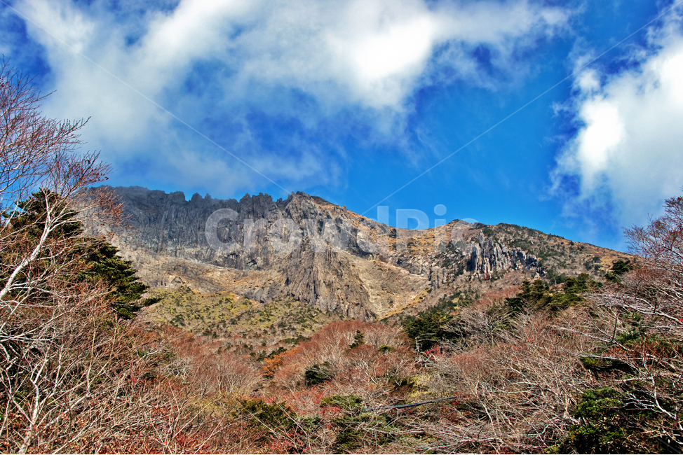 남벽,한라산,국립공원,관목,기암괴석,제주도,돈네코코스,푸른하늘,구름,제주도,jeju,jeju island,nature,자연,outdoors,옥외