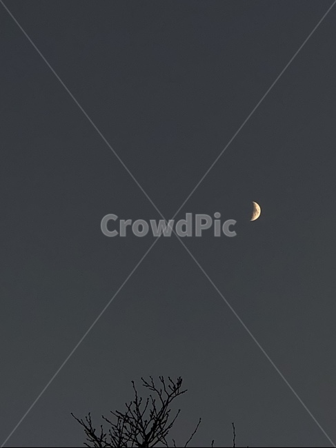 달,야경,초승달,감성사진,하늘,야경,밤,풍경,nightscape,night,landscape,nature,자연,outdoors,옥외