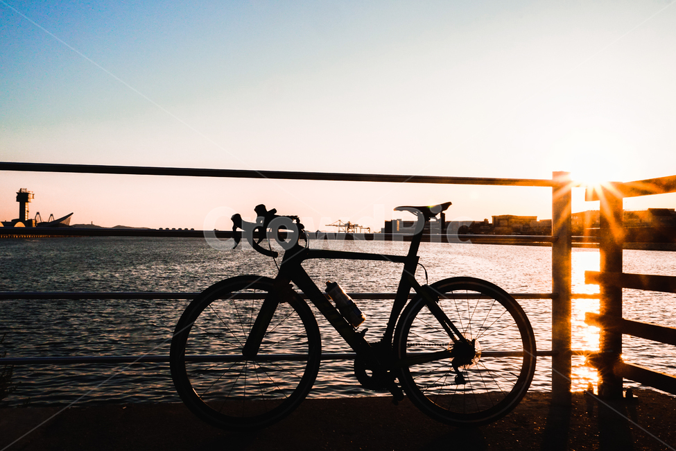 bike,transportation,교통,bicycle,자전거,vehicle,바퀴,wheel,로드,감성,감성사진
