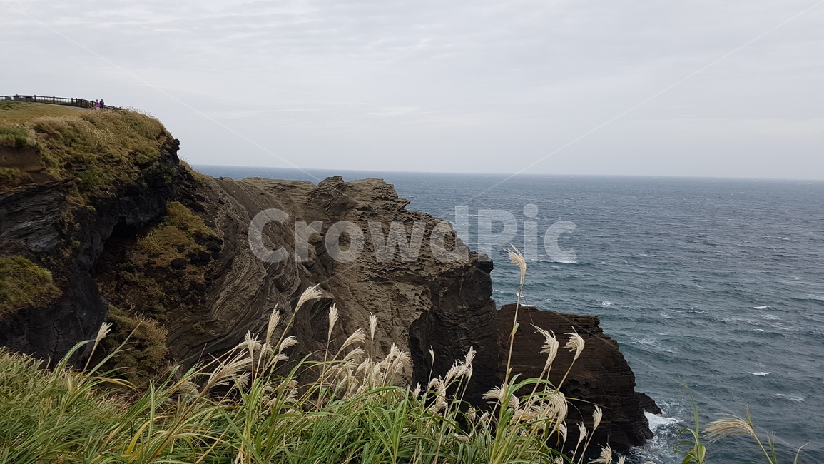 제주도,송악산,해안절벽,화산지질,억새,한국자연풍경,한국자연경관,korea nature landscape