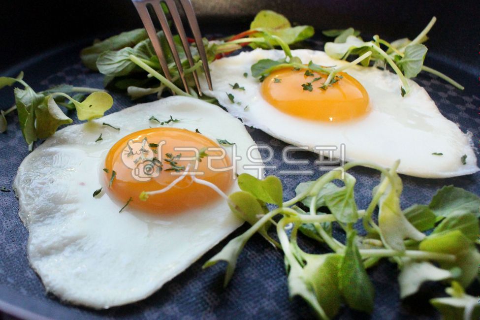 계란,계란후라이,달걀,달걀후라이,음식,식재료,요리,food,달걀프라이,후라이팬,간단식,아침식사,계란샐러드,반숙후라이,프라이팬,아침식사대용,간단요리,단백질요리