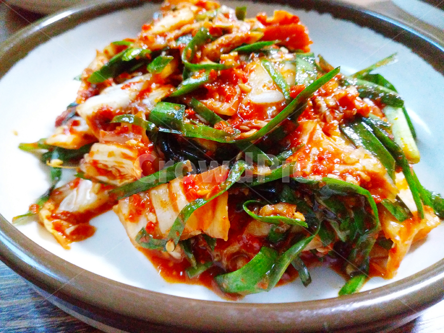 김치,음식,한국음식,채소,배추,전통음식,먹거리,식자재,식재료,food,kimchi,kimchee,식품,식물,plant