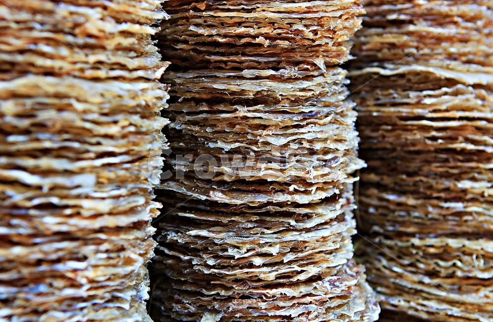 쥐포,쥐치포,쥐고기,생선,길거리음식,음식,음식,식재료,요리,food,cook,meal,dishes,food reserves