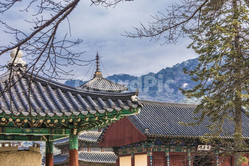 법주사,사찰,문화유산,관광지,팔상전,고찰,문화재,세계문화유산,한국전통,한국문화,korean traditional,korean culture,종교,신앙,religion,belief,faith,건축물,건물외관,exterior,building,structure,architecture,construction