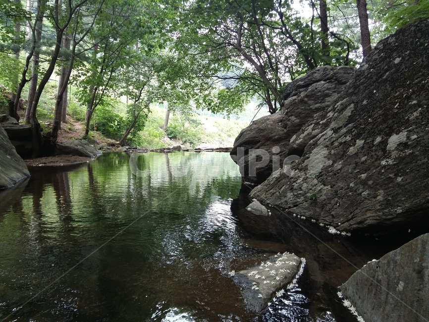 자연,계곡,풍경,힐링,쉽터,물,물결,바위,포천시,경기도,nature,healing,water,valley,outdoors,옥외,숲