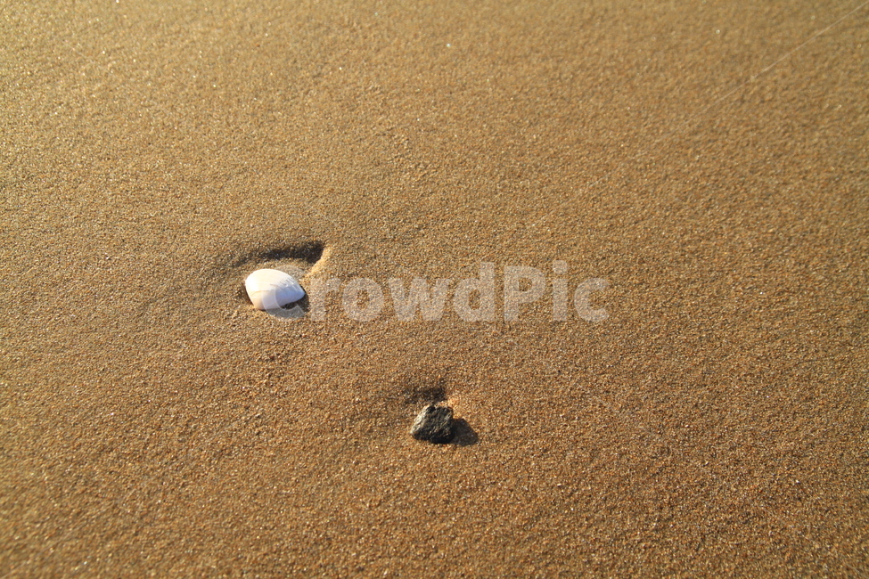 모래사장,해변,조개껍데기,힐링,자연,해변,바다,beach,sea