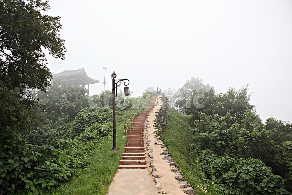 공주산성,성,성곽,길,둘레길,숲,숲길,안개,돌담,담,여름,자연,풍경,흙담,식물,유네스코등제
