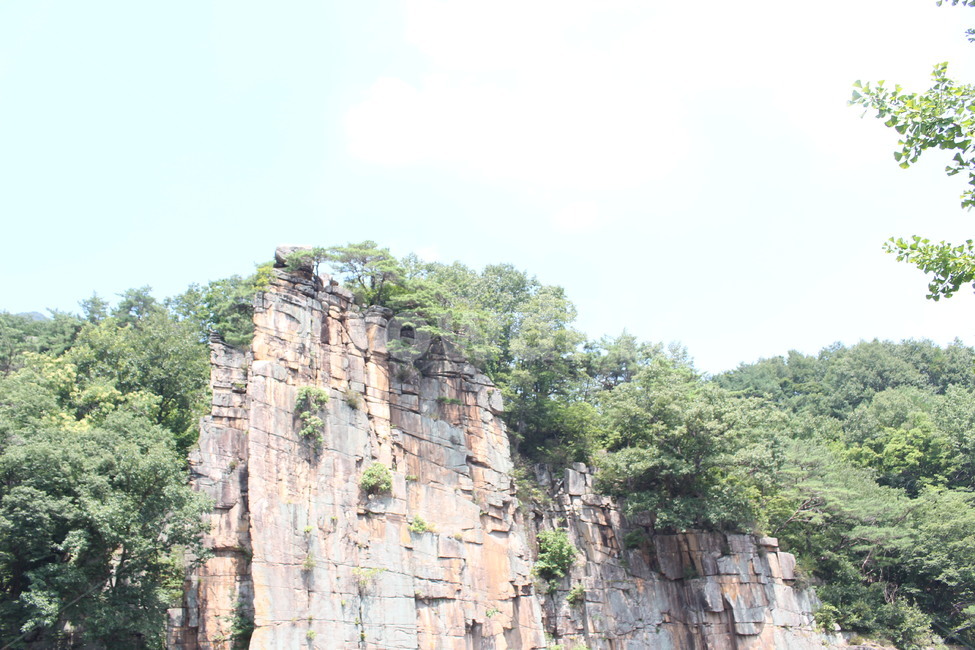 단양팔경,사인암,절벽,나무,풍경,자연환경,돌,명승,단양,자연,풍경,nature,landscape,한국자연풍경,한국자연경관,korea nature landscape,cliff,낭떠러지,outdoors,옥외