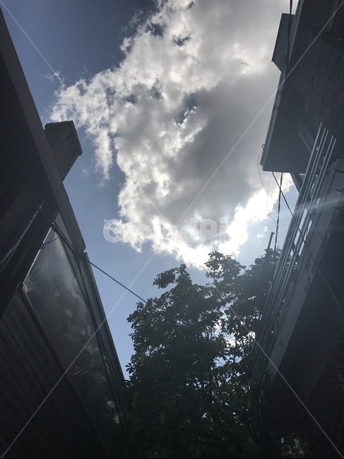 하늘,구름,풍경,경치,맑음,햇살,날씨,한국,자연,sky,cloud,scenery,view,sunnyday,sunshine,whther,korea,nature,건축물,건물외관,exterior,building,structure,architecture,construction