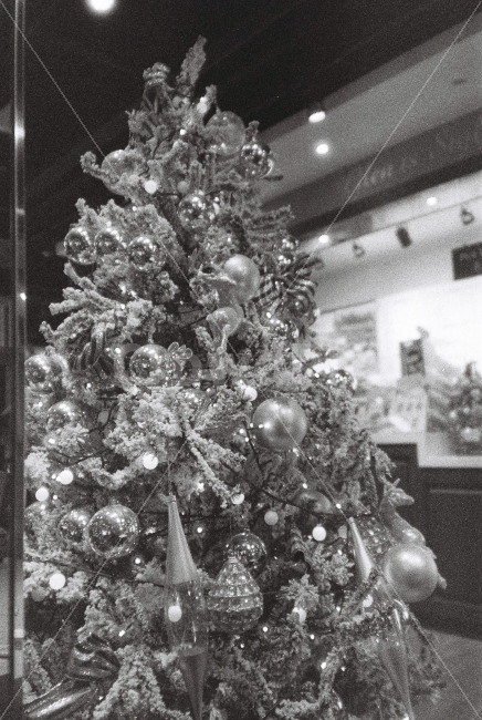필름,필름사진,흑백,흑백필름,아날로그,감성,film,light,bw,monochrome,크리스마스,트리,카페,coffee,christmas,cafe,35mm,ilford,iso3200,겨울,계절,winter,season,종교,신앙,religion,belief,faith,기념일,축하,anniversary,congratulation,celebrate,celebration,메리크리스마스,성탄절,merry christmas,흑백,모노톤,monochrome,black and white,인테리어,실내디자인,interior design