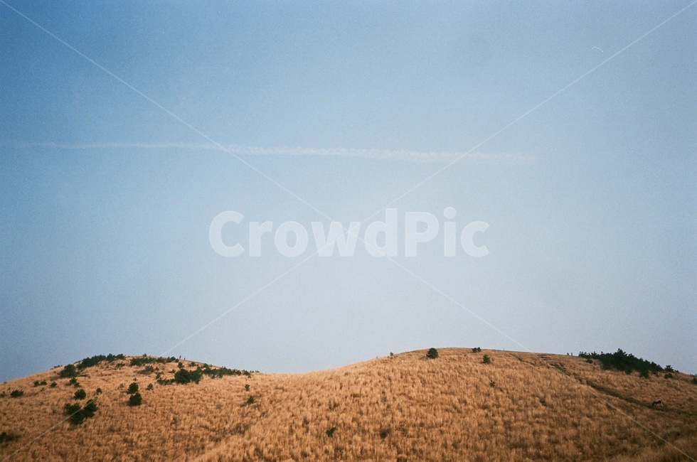 제주,제주풍경,필름사진,filmphotography,filmphoto,오름,용눈이오름,언덕,oreum,yongnunioreum,volcaniccone,hills