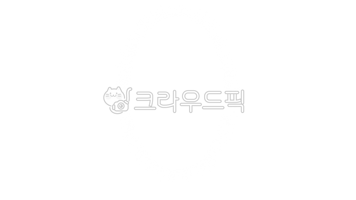 말풍선,예능,집중선,집중효과,광선