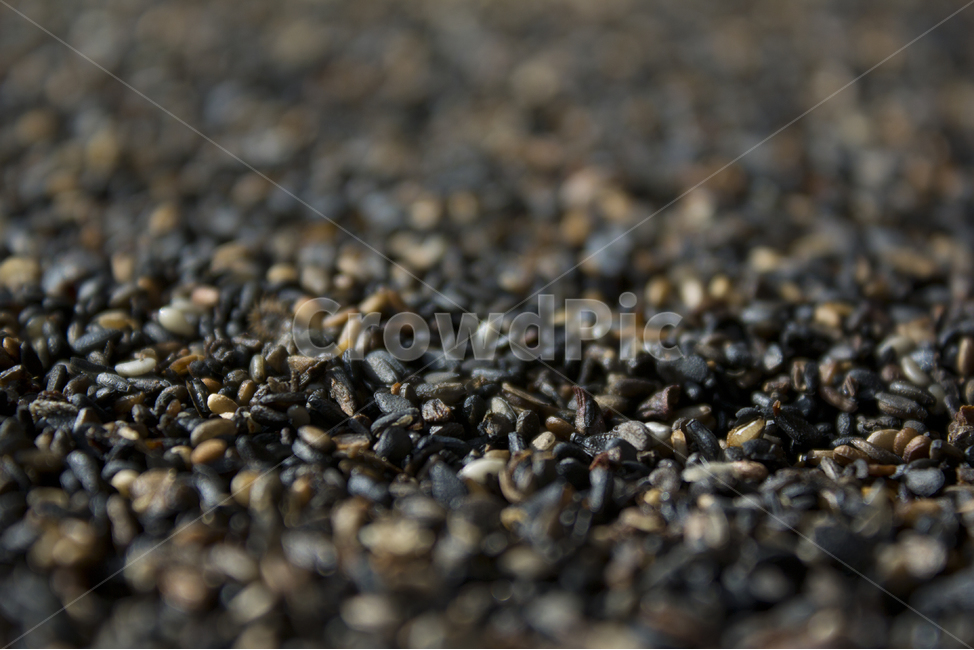 closeup,dry,dummy,food,grain,macro,meal,natural,nature,organic,plant,seed,seeds,sesame,sesameseed,sesameseeds,깨,참깨,곡식,곡류,음식,음식재료,식재료,식물,씨앗,씨,말린,말리는,건조,자연,클로즈업,깨소금,농작물,농촌,농사,검정,블랙,검은색,black,검은깨,아웃포커스,포커스아웃,블러,곡류,곡식,cereals