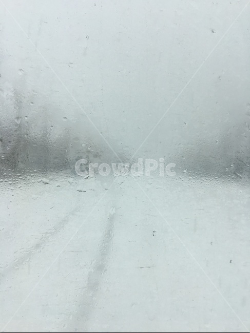 눈,snow,창밖,겨울,winter,추운,cold,나무,tree,눈오는날,snowyday,날씨,weather