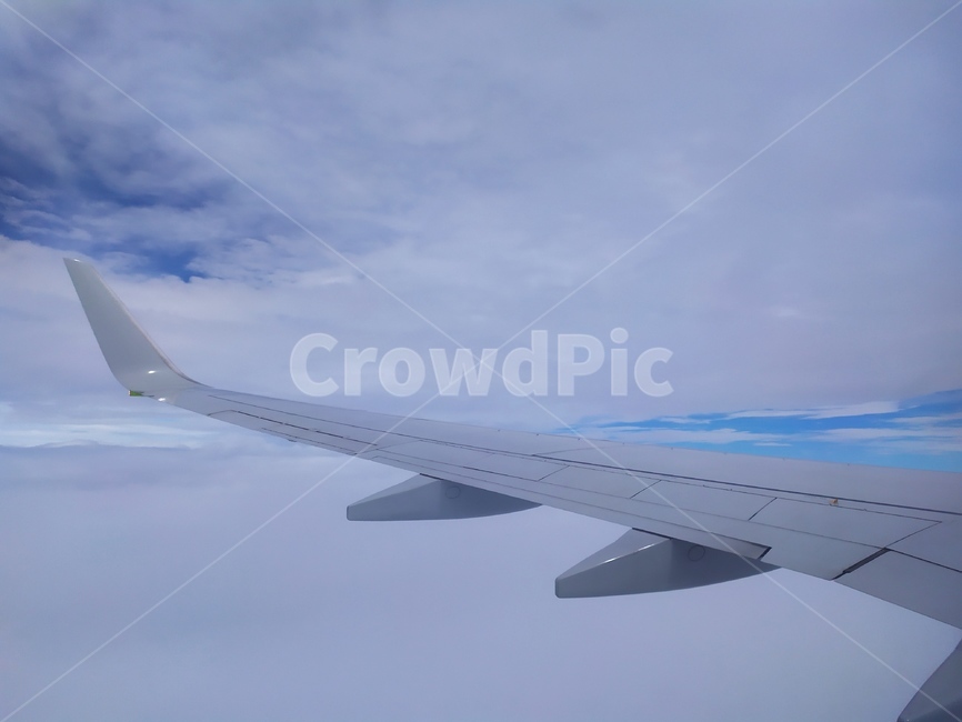 cloud,flight,airplane,aircraft,wing