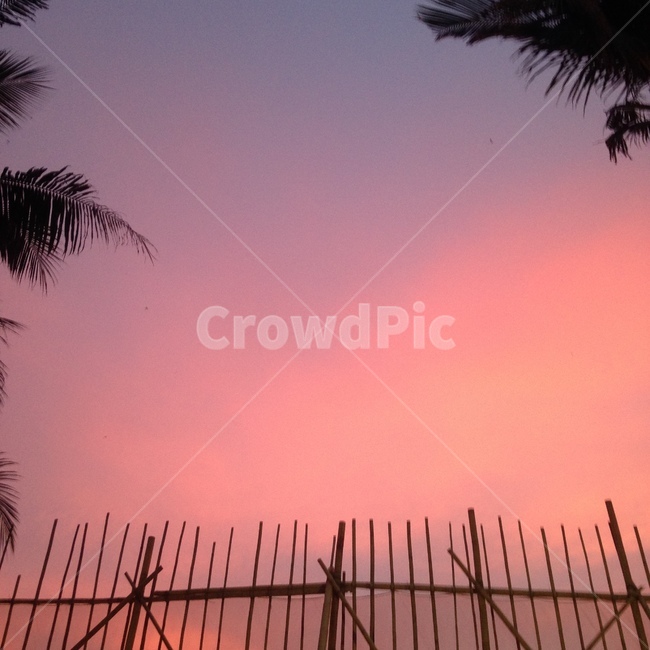 하늘,노을,파스텔,휴양지,야자수,보라카이,보라색,퍼플,분홍색,핑크,sky,sunset,pastel,palm,boracay,purple,pink,island