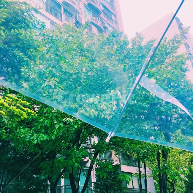 청량함,청량,계절,감성사진,초록,이슬,빗방울,비,비,비오는날,rain,rainy