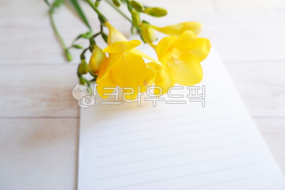 봄,꽃,봄꽃,후리지아,노랑색,노란꽃,편지지,카드,엽서,식물,봉투,목재,목재테이블,목재배경,봄배경,녹색,flower,floral,letter,greeting,yellow,card,woodentable,freesia,프리지아,프리지아꽃